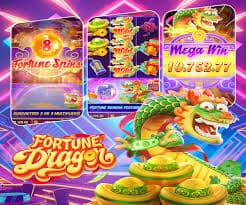 reef reef ke Terms & Conditions